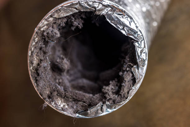 Best Air Duct Cleaning Near Me  in Antioch, IL
