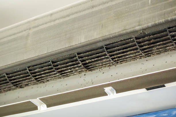 Best HVAC Air Duct Cleaning  in Antioch, IL